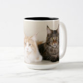 Tasse 2 Couleurs Maine Coon Kitty Cat (Devant droit)