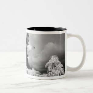 Tasse 2 Couleurs Maison des Keys de Floride et ses palmiers, États-