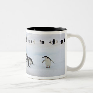Tasse 2 Couleurs Manchots à jugulaire