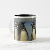 Tasse 2 Couleurs Manchots de Magellan, Spheniscus (Devant gauche)