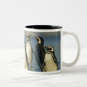 Tasse 2 Couleurs Manchots de Magellan, Spheniscus