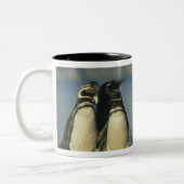 Tasse 2 Couleurs Manchots de Magellan, Spheniscus (Gauche)