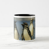 Tasse 2 Couleurs Manchots de Magellan, Spheniscus (Centre)