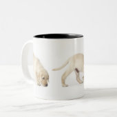 Tasse 2 Couleurs Marche de chiot de labrador retriever (Devant gauche)