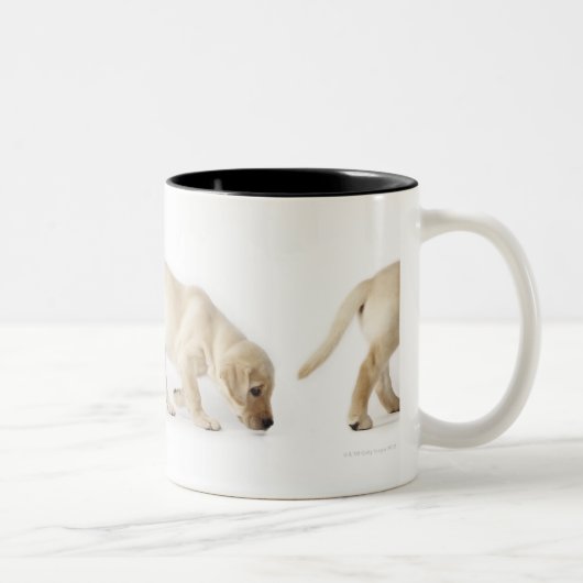 Tasse 2 Couleurs Marche de chiot de labrador retriever (Droit)