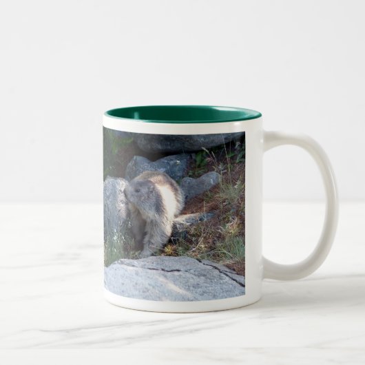 Tasse 2 Couleurs Marmotte mignonne — muqueuse suisse (Droit)
