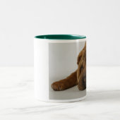 Tasse 2 Couleurs Matin de Ruff (Centre)