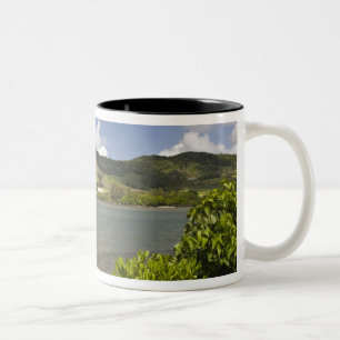 Tasse 2 Couleurs Maurice, Maurice, Maurice du Sud, Grand Sable,