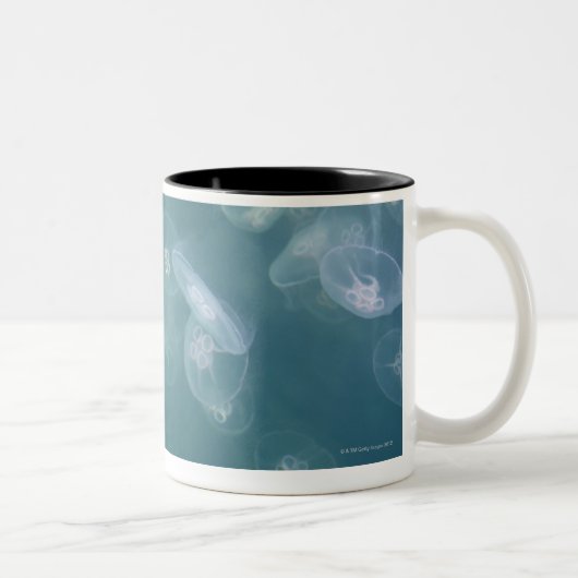 Tasse 2 Couleurs Méduses de lune (Droit)