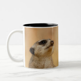 Tasse 2 Couleurs Meerkat 001 par JAMFoto