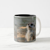 Tasse 2 Couleurs Meerkat 004 (Devant droit)