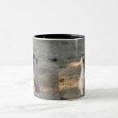 Tasse 2 Couleurs Meerkat 004 (Centre)