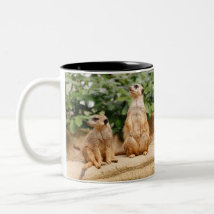 Tasse 2 Couleurs Meerkat 009
