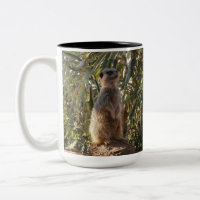 Meerkat En Garde,