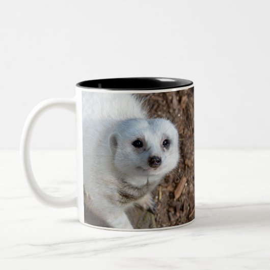 Tasse 2 Couleurs Meerkat, Fourrure Blanche Neige (Gauche)