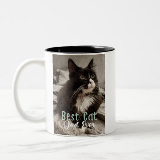 Tasse 2 Couleurs Meilleur Papa de Chat de Tous les Temps