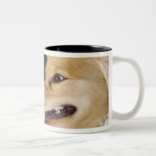 Tasse 2 Couleurs mélange de cocker sur son dos (Droit)