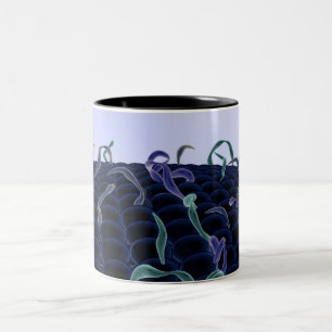 Tasse 2 Couleurs Membrane cellulaire magnifiée