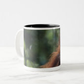 Tasse 2 Couleurs Mère d'orang-outan avec le bébé (Devant gauche)