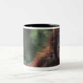 Tasse 2 Couleurs Mère d'orang-outan avec le bébé (Centre)