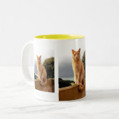 Tasse 2 Couleurs Merlin sur le mur du jardin (Devant gauche)