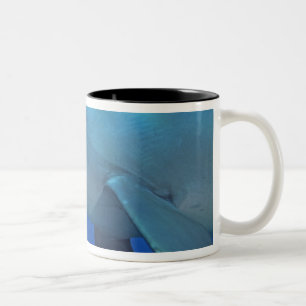 Tasse 2 Couleurs Mexique, Cozumel. Dauphin à gros nez, Tursiops 4