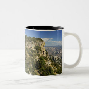 Tasse 2 Couleurs Mexique, État de Chihuahua, Copper Canyon. CECI