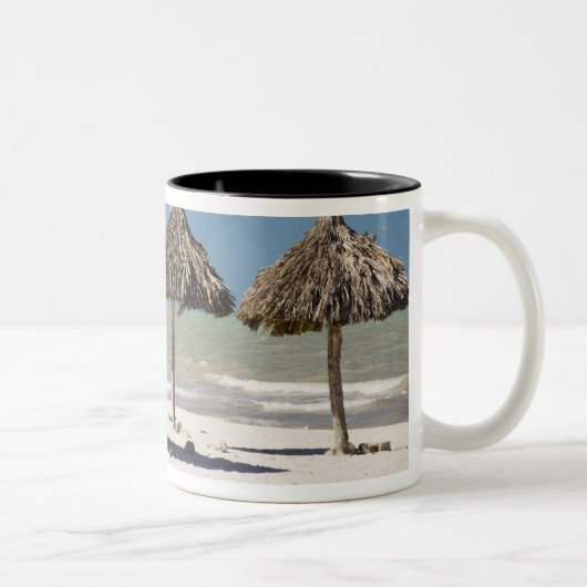 Tasse 2 Couleurs Mexique, péninsule du Yucatan, Progreso. Chaume (Droit)