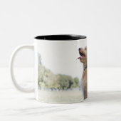 Tasse 2 Couleurs Mini griffonnage d'or (Gauche)