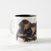 Tasse 2 Couleurs Mini teckel quatre (Devant gauche)