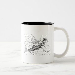 Tasse 2 Couleurs Modèle vintage d'insecte de mante de prière
