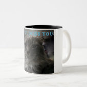 TASSE 2 COULEURS MON CHAT VOUS JUGE (Devant droit)