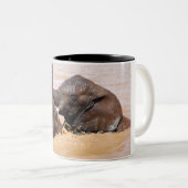 Tasse 2 Couleurs Monde de l'eau des éléphants (Devant droit)