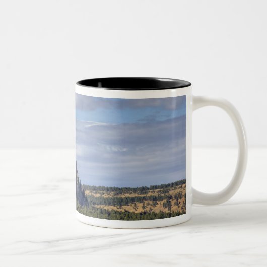 Tasse 2 Couleurs Monument national de Devils Tower (Droit)