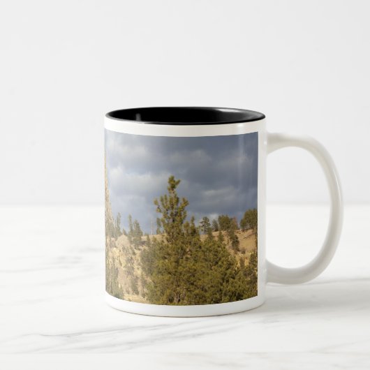 Tasse 2 Couleurs Monument national de Devils Tower (Droit)