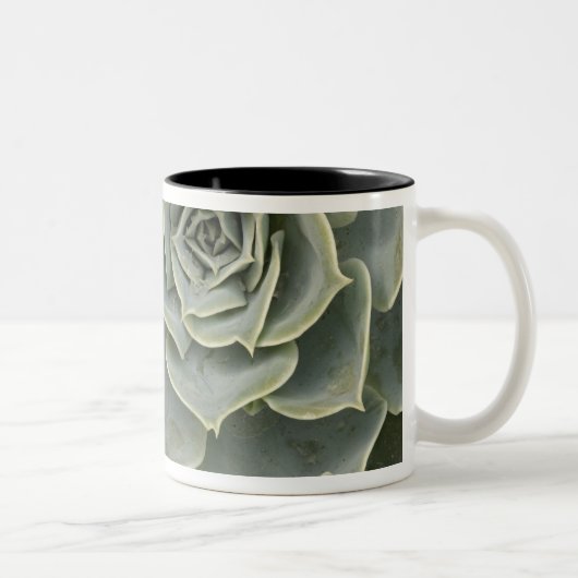 Tasse 2 Couleurs Motif de cactus (Droit)