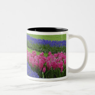 Tasse 2 Couleurs Motif de jacinthe des vignes, de tulipes et