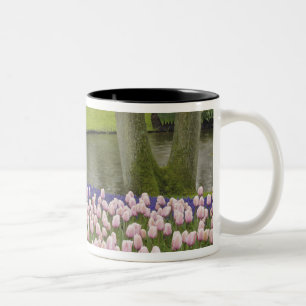 Tasse 2 Couleurs Motif de tulipes et de fleurs de muscari,