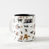 Tasse 2 Couleurs Motif mignon avec des photos de Chats et chatons (Devant gauche)