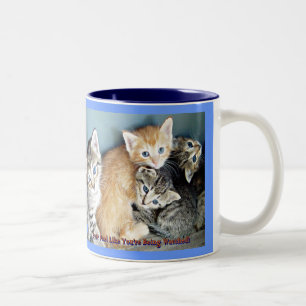 Tasse 2 Couleurs Mouche de chaton