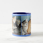 Tasse 2 Couleurs Mouche de chaton (Centre)