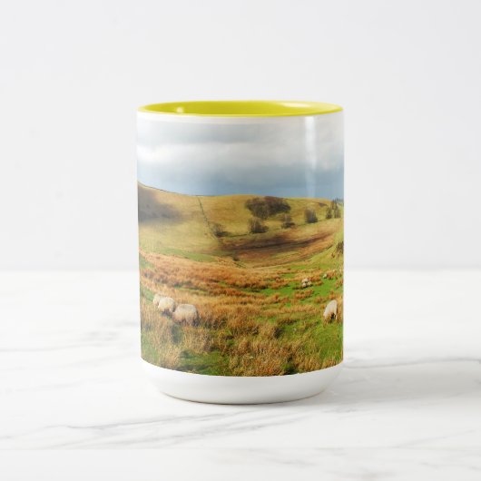 Tasse 2 Couleurs Moutons dans le district de Peak (Centre)