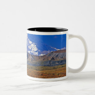 Tasse 2 Couleurs Mt . McKinley Parc national de Denali, Alaska.