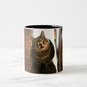 Tasse 2 Couleurs MuglyKitty