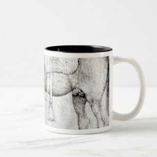 Tasse 2 Couleurs Mule, de l'album de Vallardi