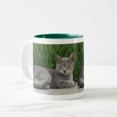 Tasse 2 Couleurs Musique de chat (Devant gauche)