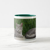 Tasse 2 Couleurs Musique de chat (Centre)
