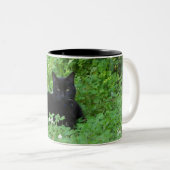 Tasse 2 Couleurs Musique de chat noir (Devant droit)
