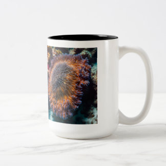 Tasse 2 Couleurs Musique de concombre de mer