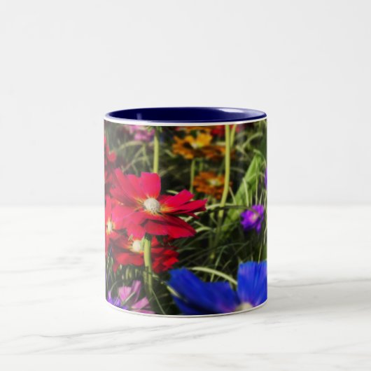 Tasse 2 Couleurs Musique de printemps Iridescente (Centre)